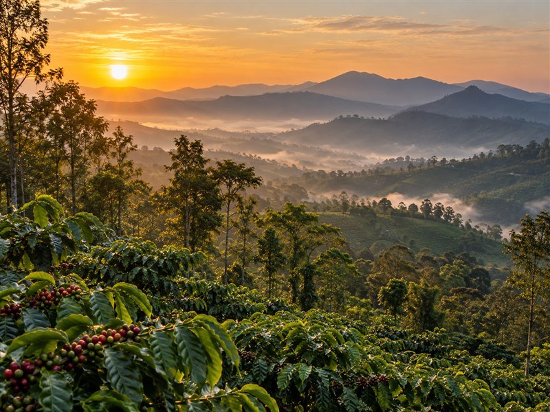Chikmagalur destination scenery